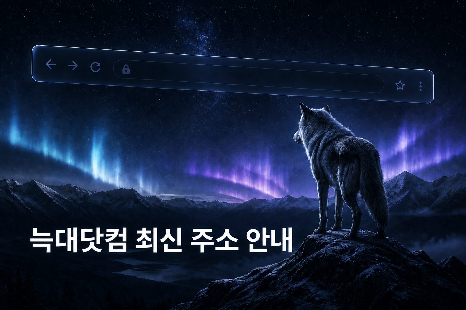 밤 능선 위 늑대와 반투명 주소창이 겹친 늑대닷컴 최신 주소 안내 히어로